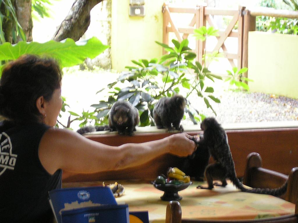 Pousada Solarium Itacaré Buitenkant foto
